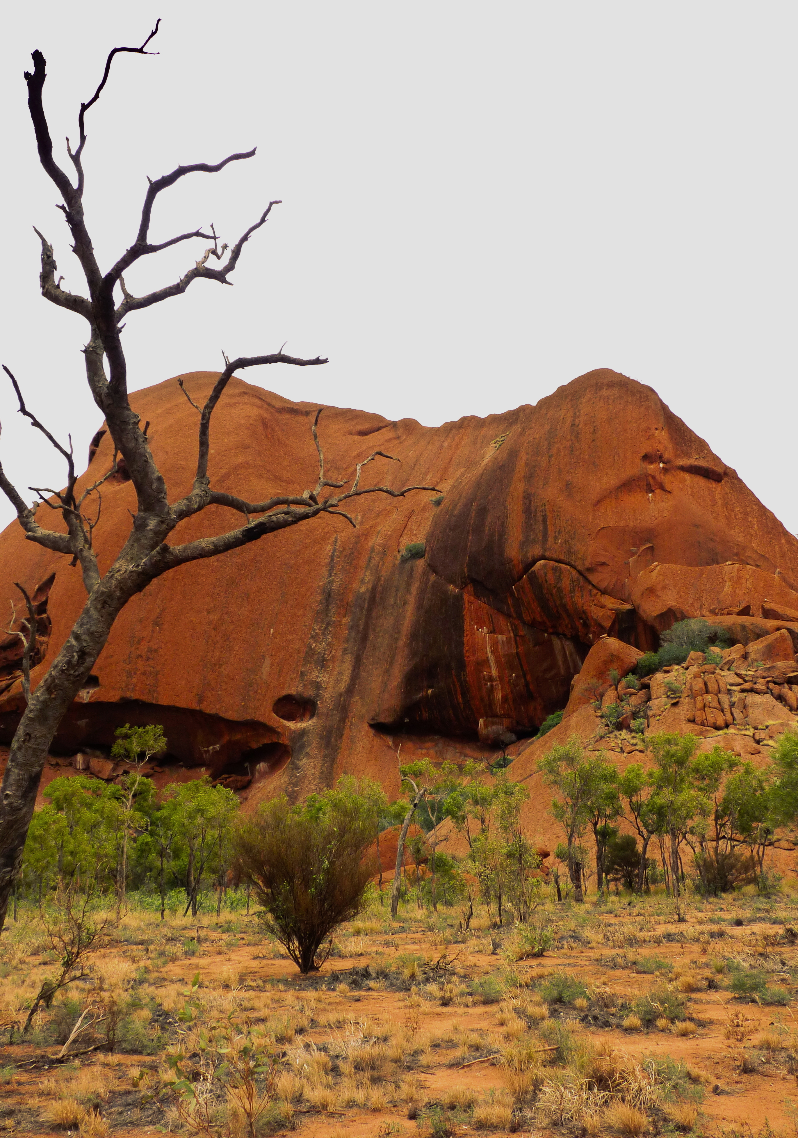 Rock formation with a foreground of dead trees
